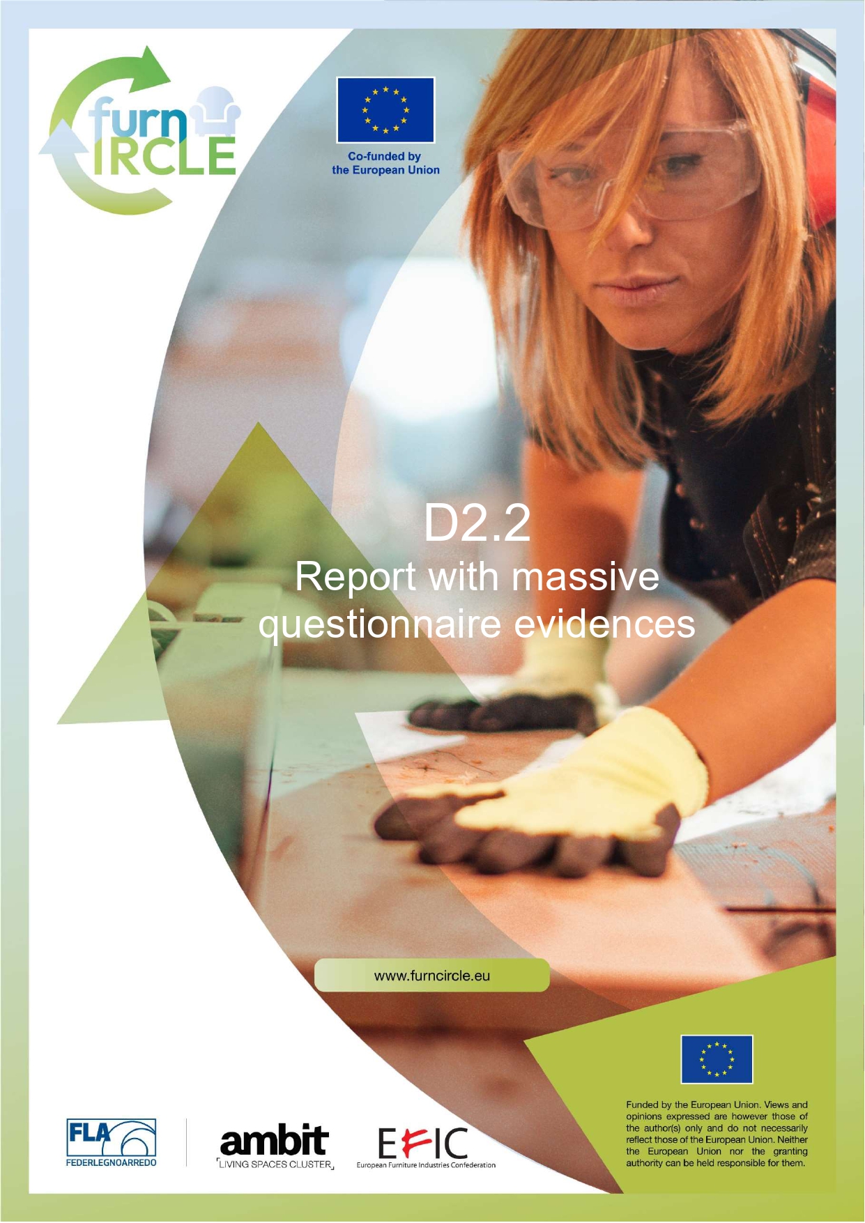 D2.2 REPORT ON QUESTIONNAIRE EVIDENCES