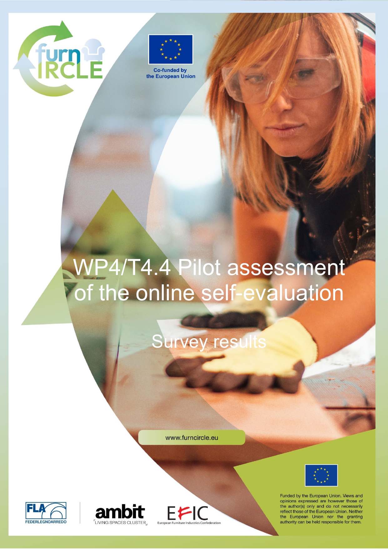 Report on the results of the pilot testing of the Self Assessment Tool (T4.4)
